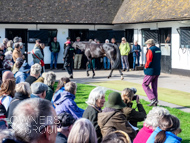 NH051025-30 - Ile de Jersey